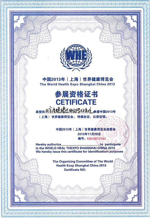 上海世界博览会证书